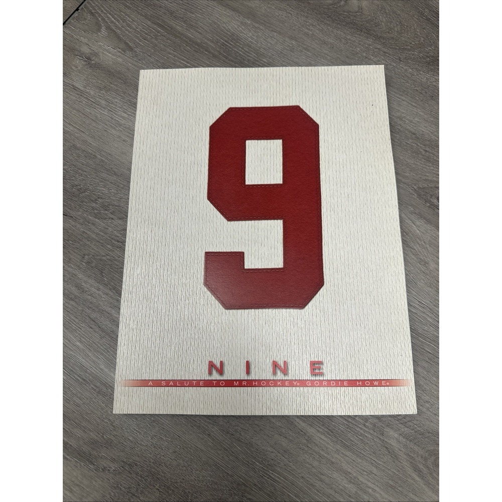 NINE‎ A SALUTE TO MR. HOCKEY GORDIE HOWE DETROIT REDWINGS HOCKEY BOOK - GOOD